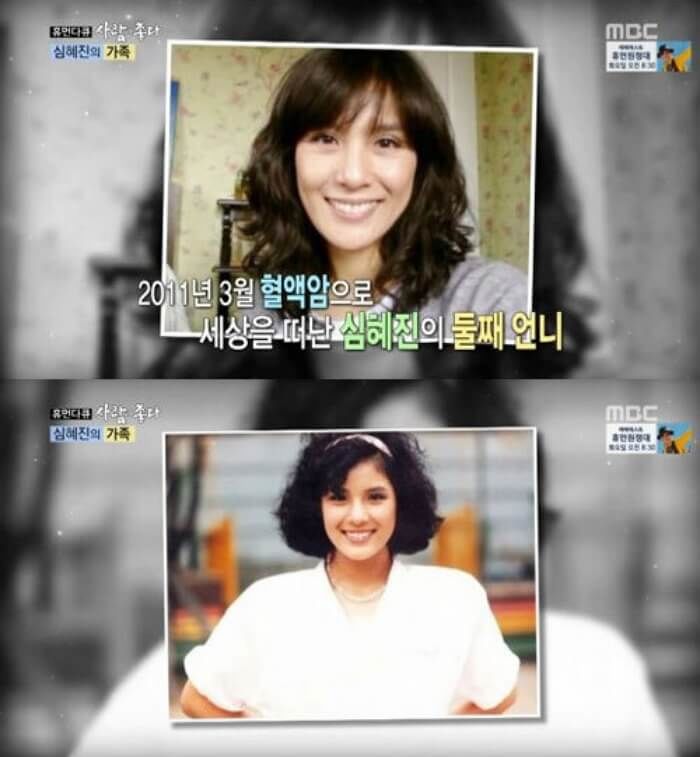 애니멀플래닛