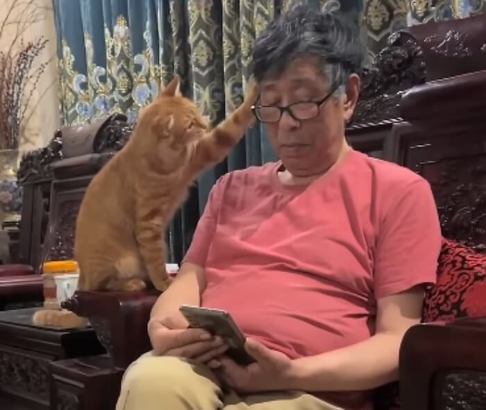애니멀플래닛