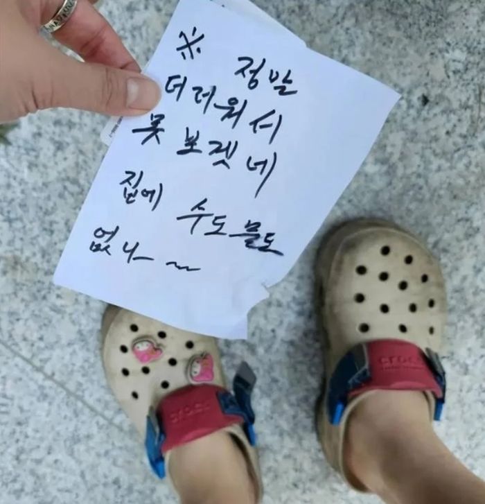 애니멀플래닛
