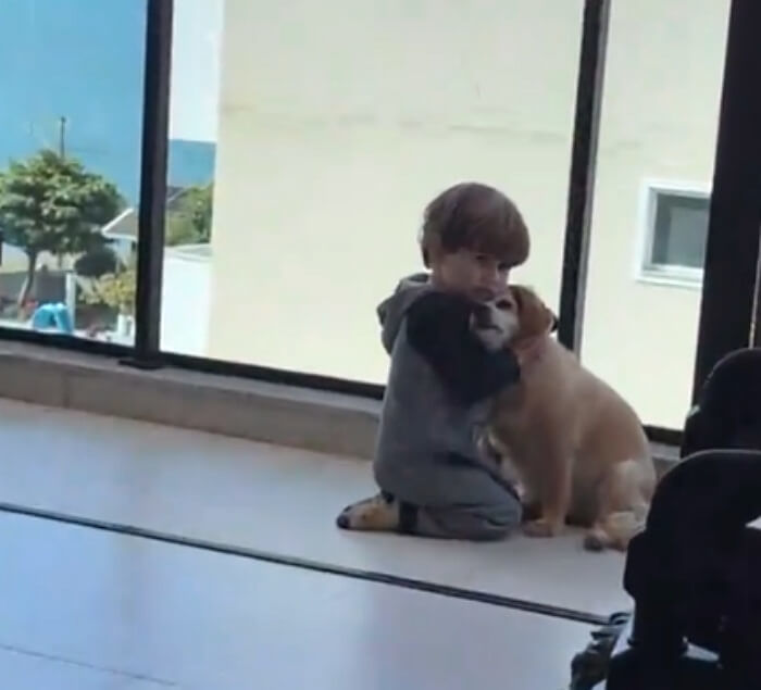 애니멀플래닛