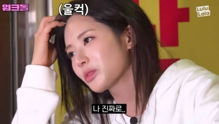 애니멀플래닛