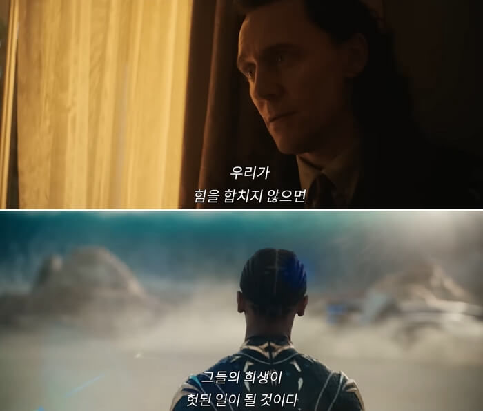 애니멀플래닛