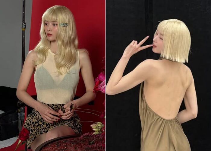 애니멀플래닛