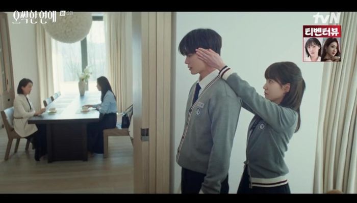 애니멀플래닛