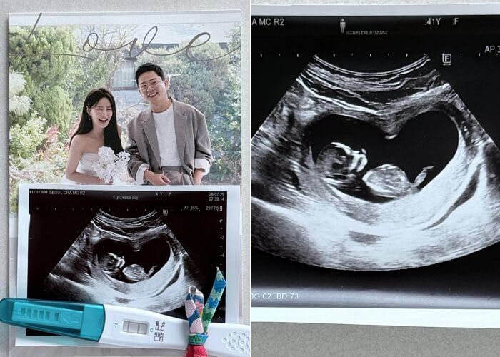 애니멀플래닛
