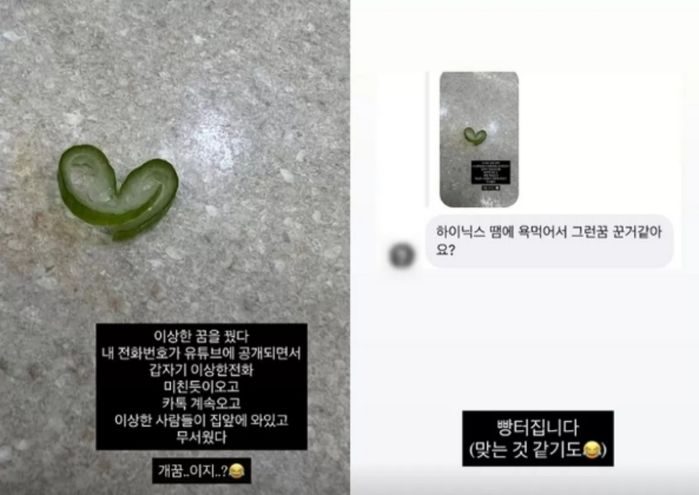 애니멀플래닛