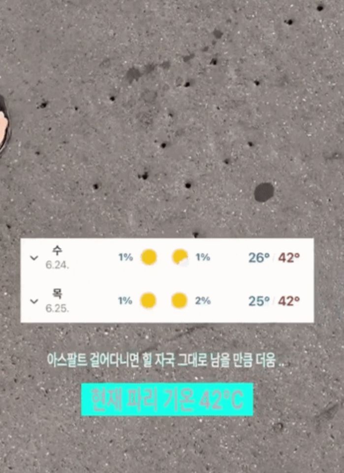 애니멀플래닛