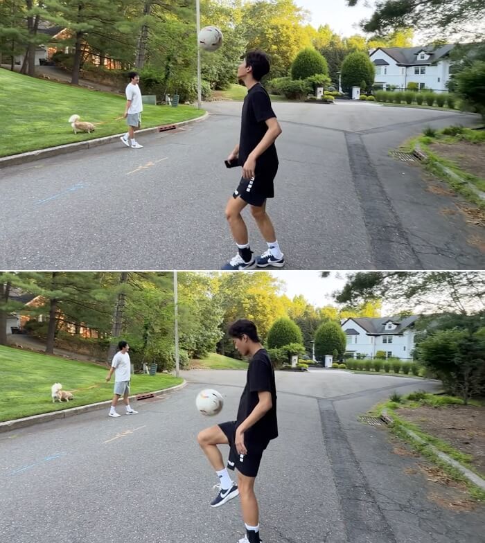 애니멀플래닛