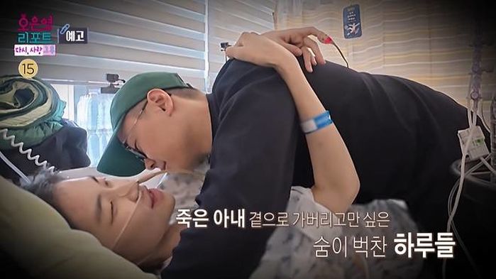 애니멀플래닛