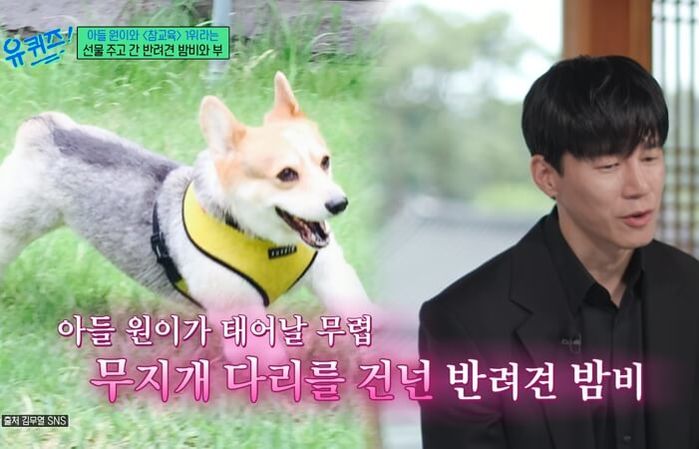 애니멀플래닛