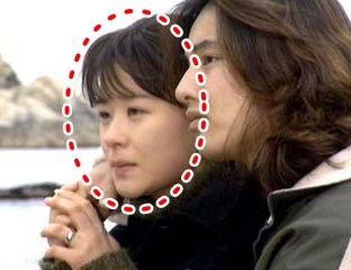 애니멀플래닛