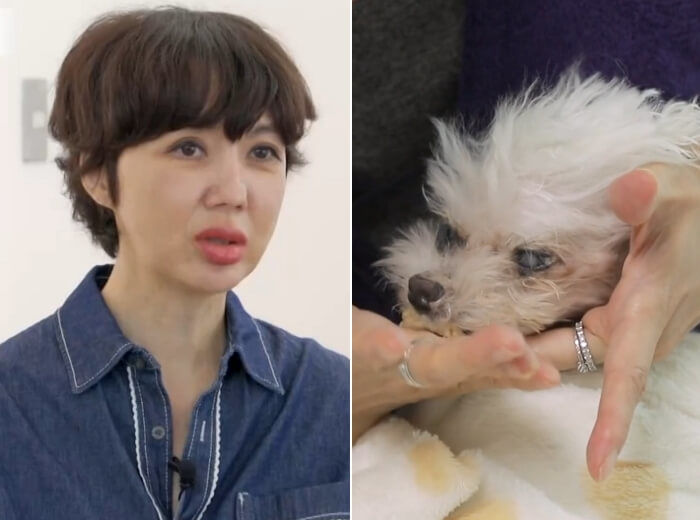 애니멀플래닛