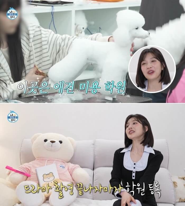 애니멀플래닛
