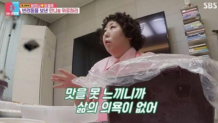 애니멀플래닛