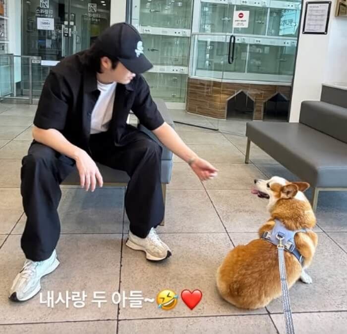 애니멀플래닛