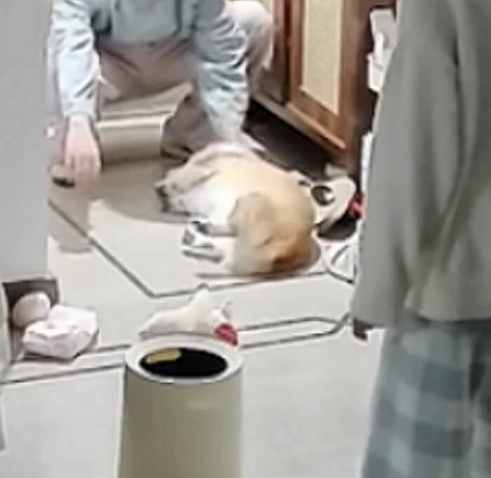 애니멀플래닛