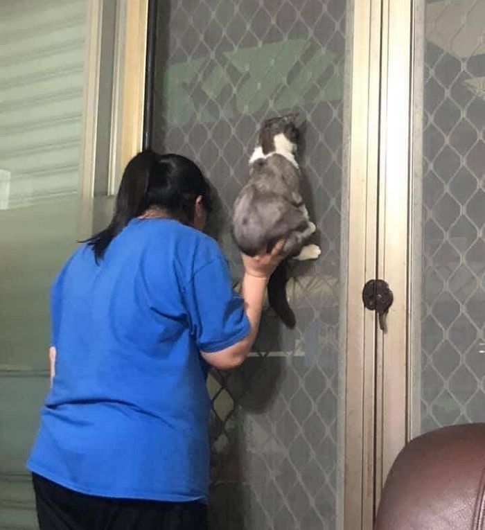 애니멀플래닛