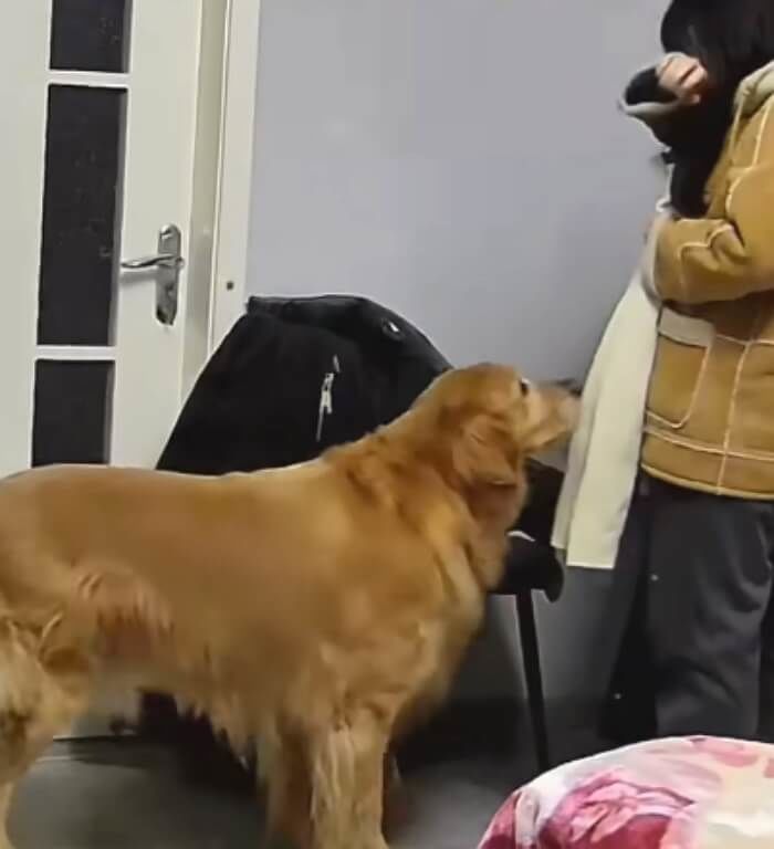 애니멀플래닛