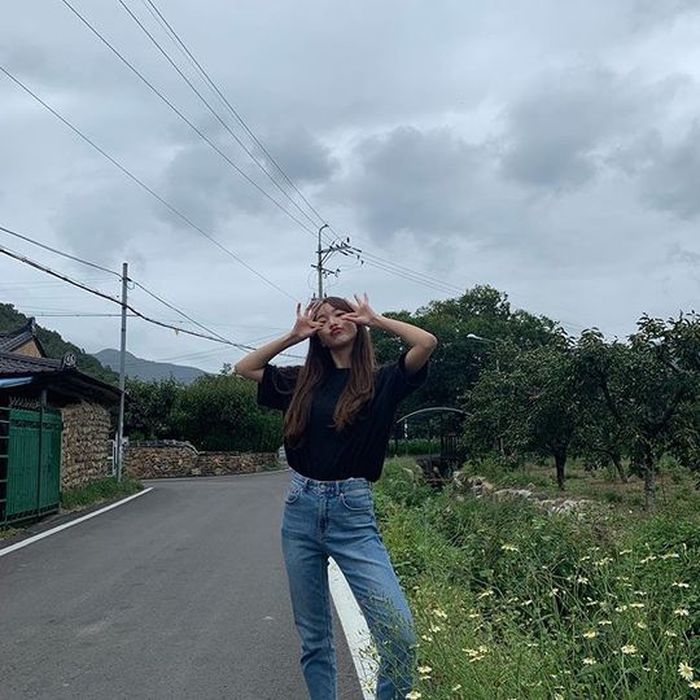 애니멀플래닛
