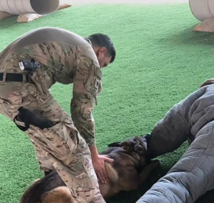 애니멀플래닛