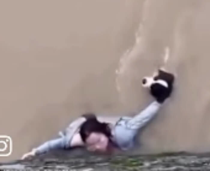 애니멀플래닛