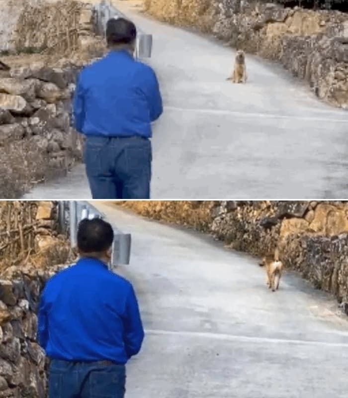 애니멀플래닛
