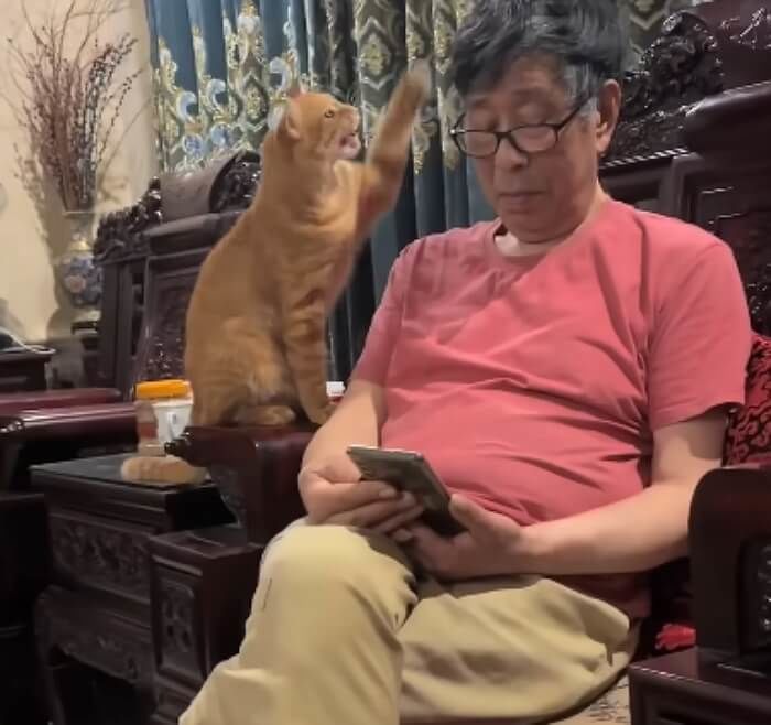애니멀플래닛