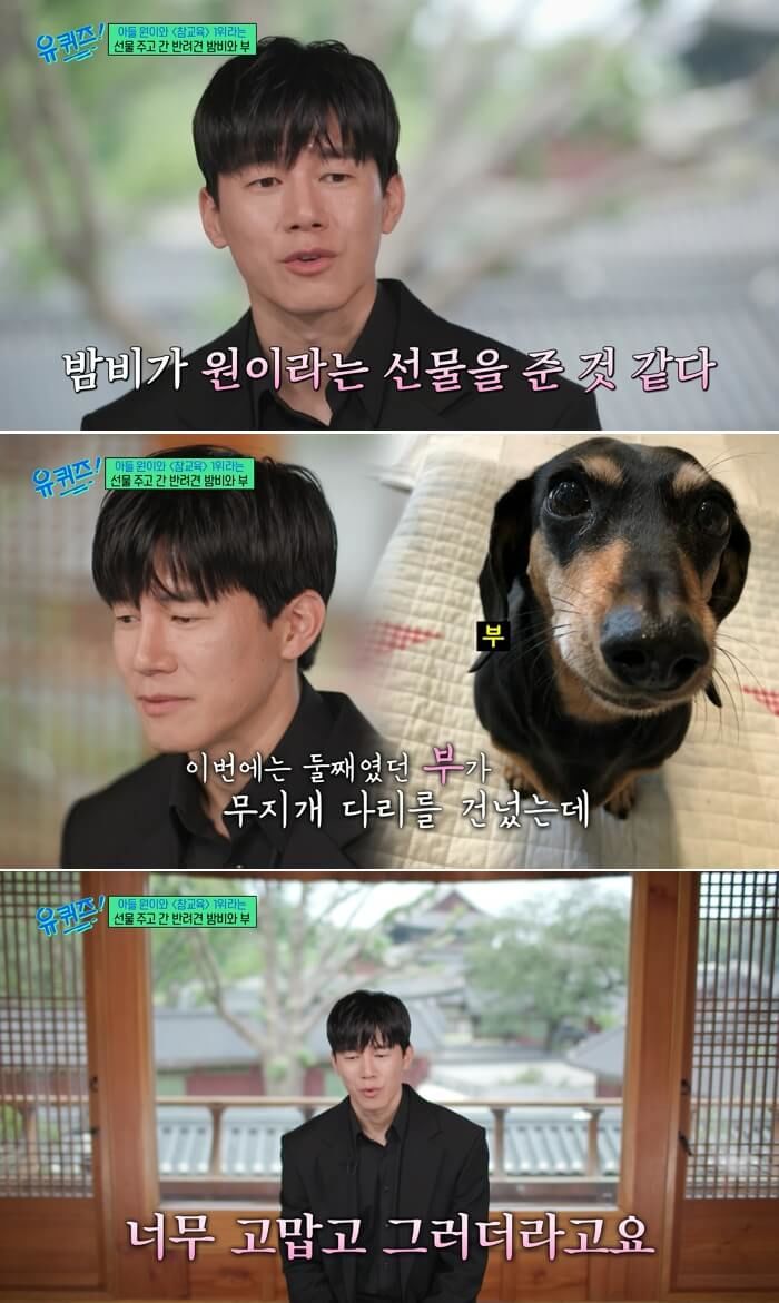 애니멀플래닛