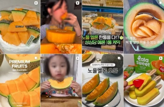 애니멀플래닛