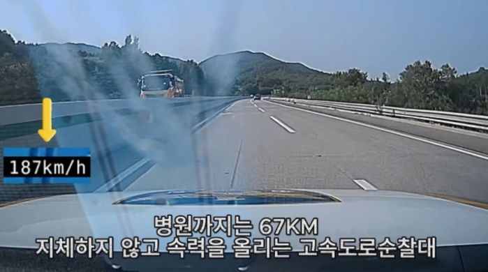 애니멀플래닛
