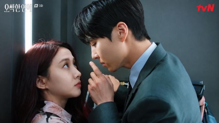 애니멀플래닛