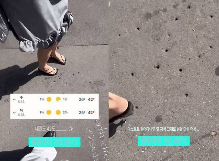 애니멀플래닛