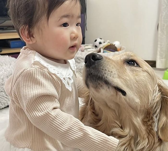 애니멀플래닛
