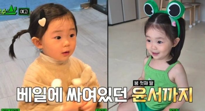 애니멀플래닛