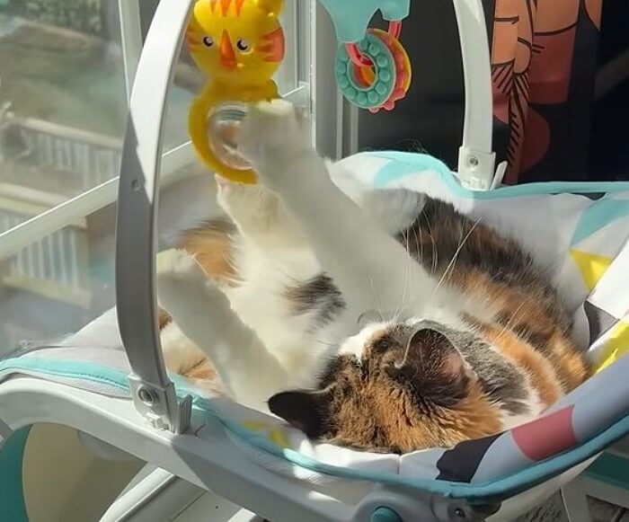 애니멀플래닛