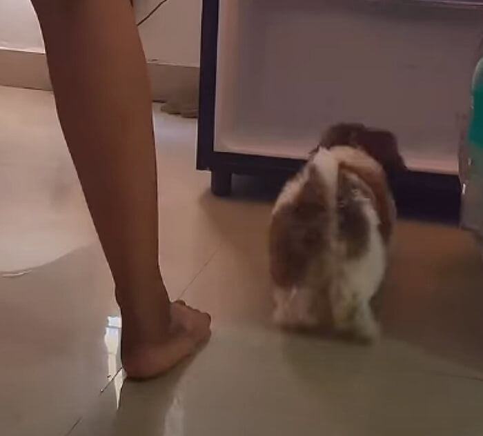 애니멀플래닛