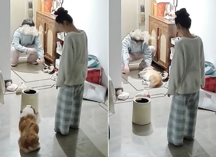 애니멀플래닛