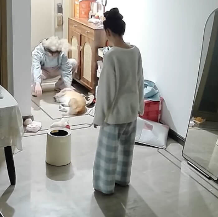 애니멀플래닛