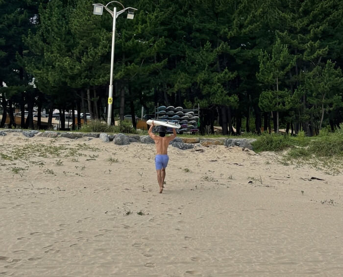 애니멀플래닛