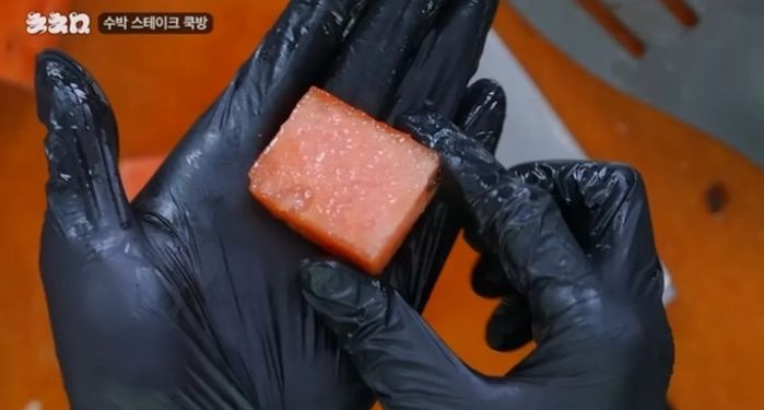 애니멀플래닛