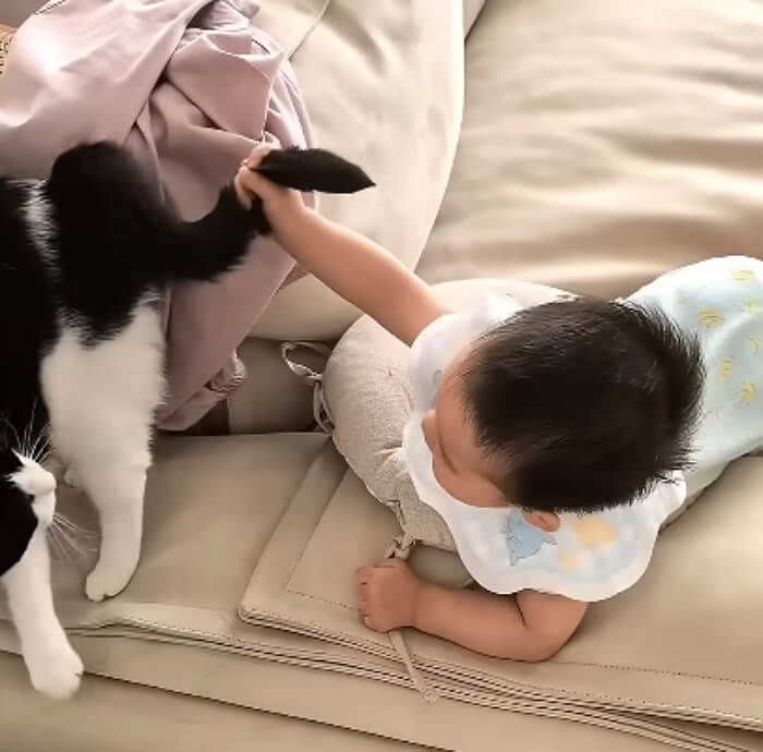 애니멀플래닛