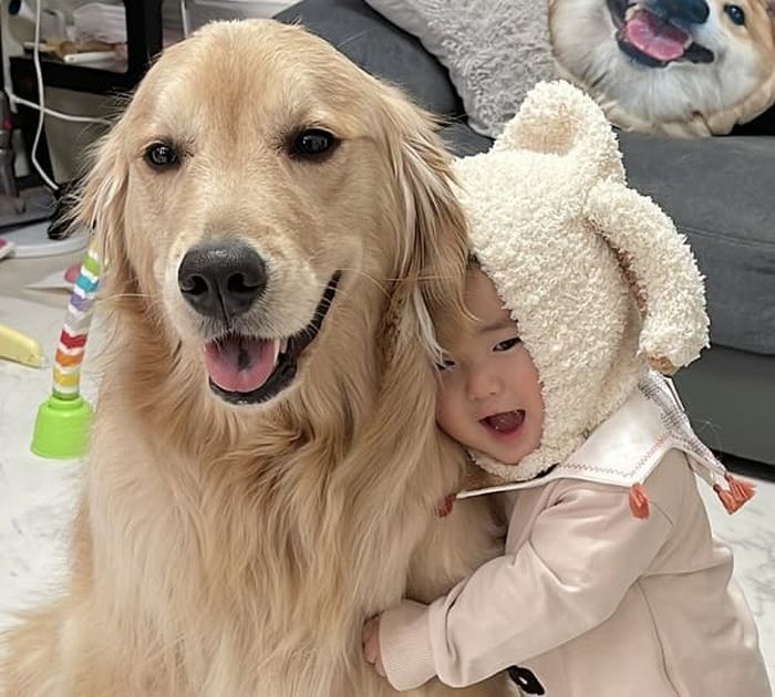 애니멀플래닛