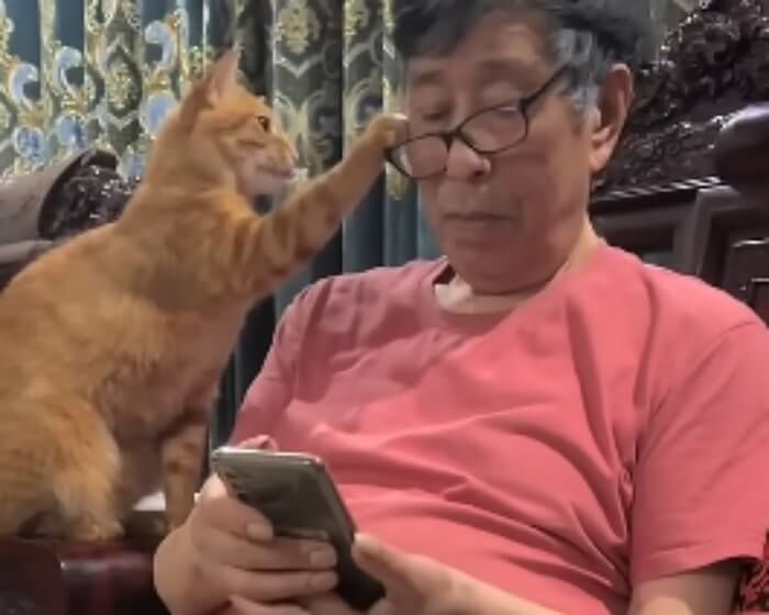 애니멀플래닛