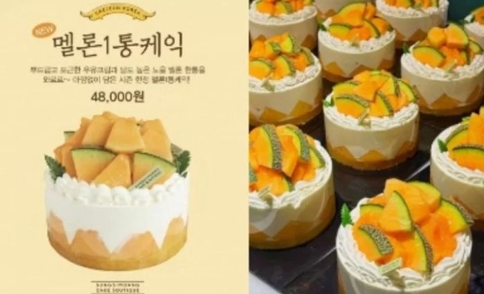 애니멀플래닛