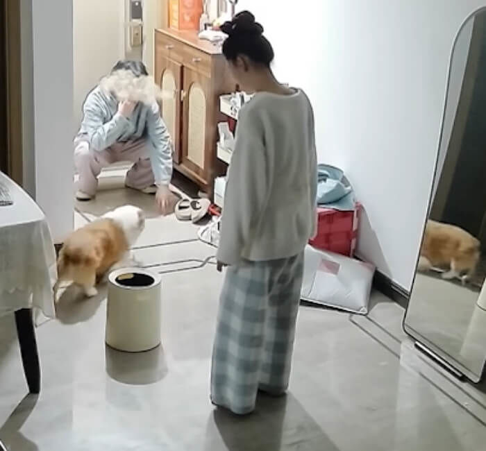 애니멀플래닛