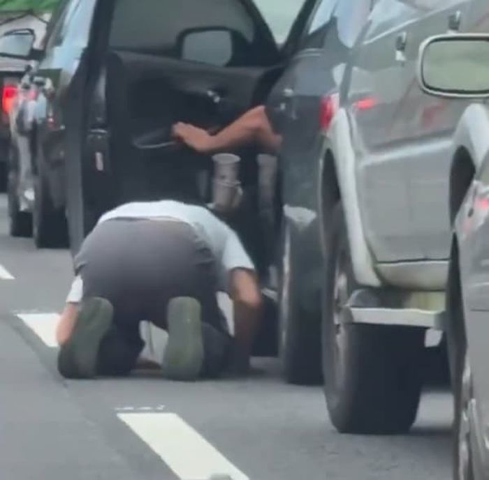 애니멀플래닛
