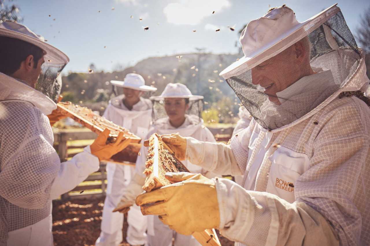 비하이브 투 테이블