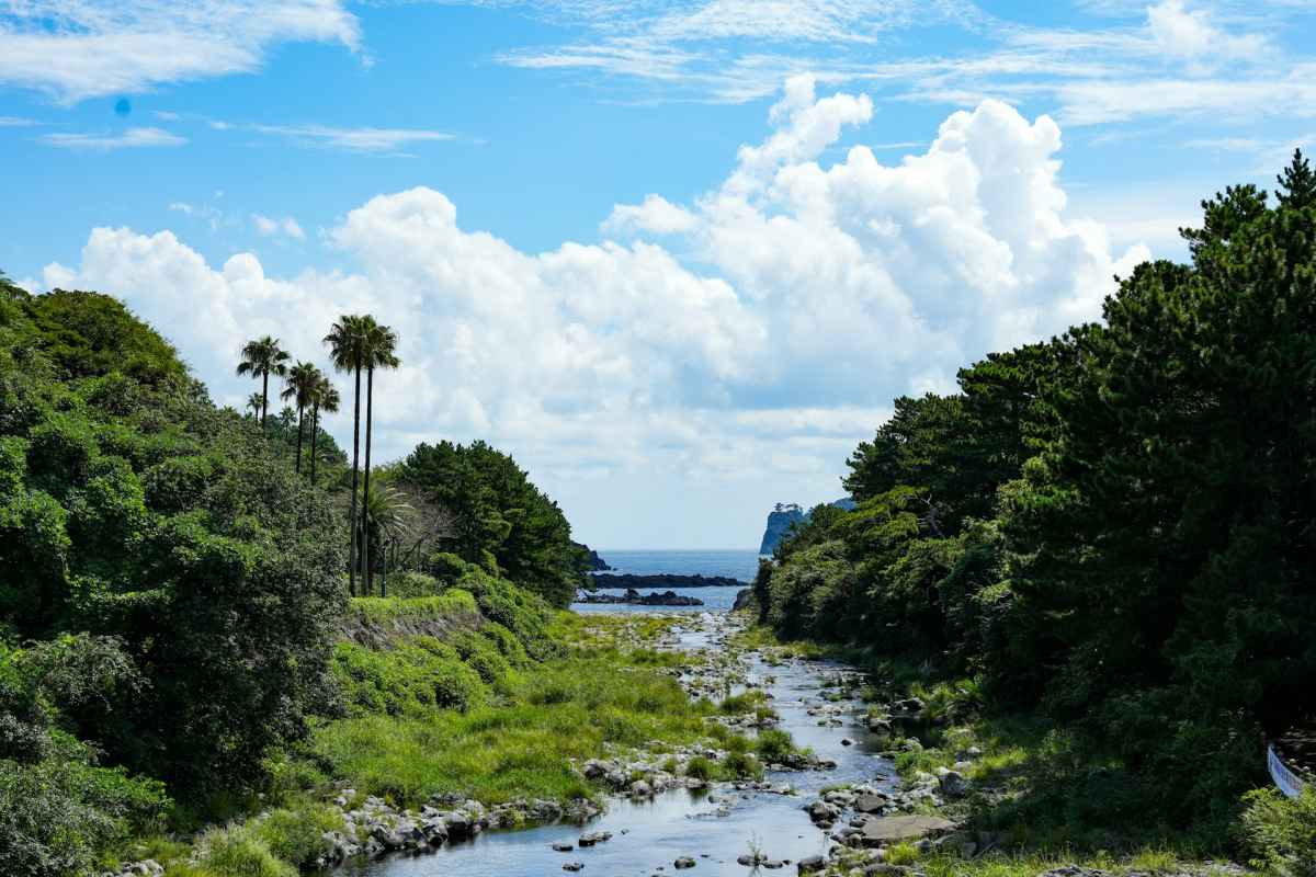셋 다 다른 이유로 인기가 많다 / 사진=unsplash