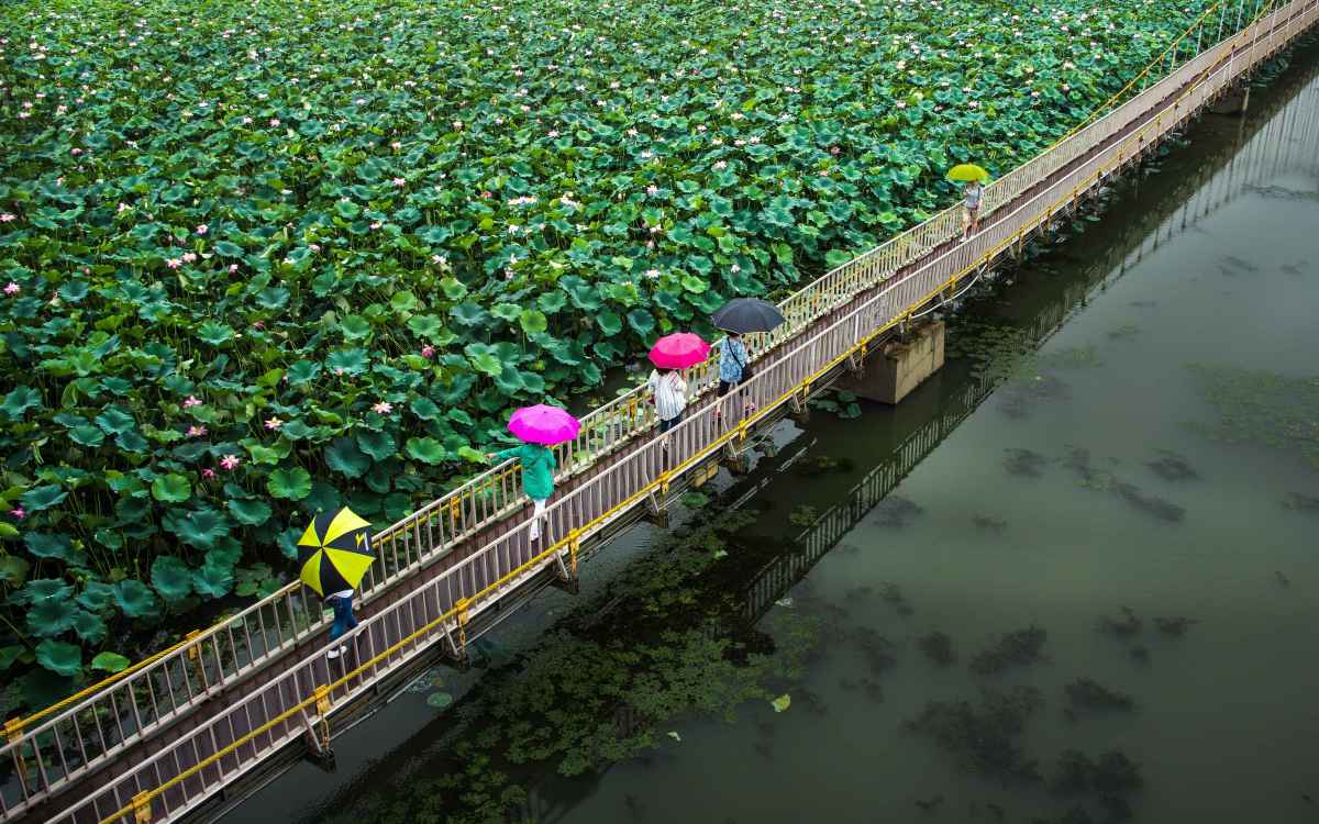 전주 덕진공원 / 사진=한국관광공사 포토코리아@송병호