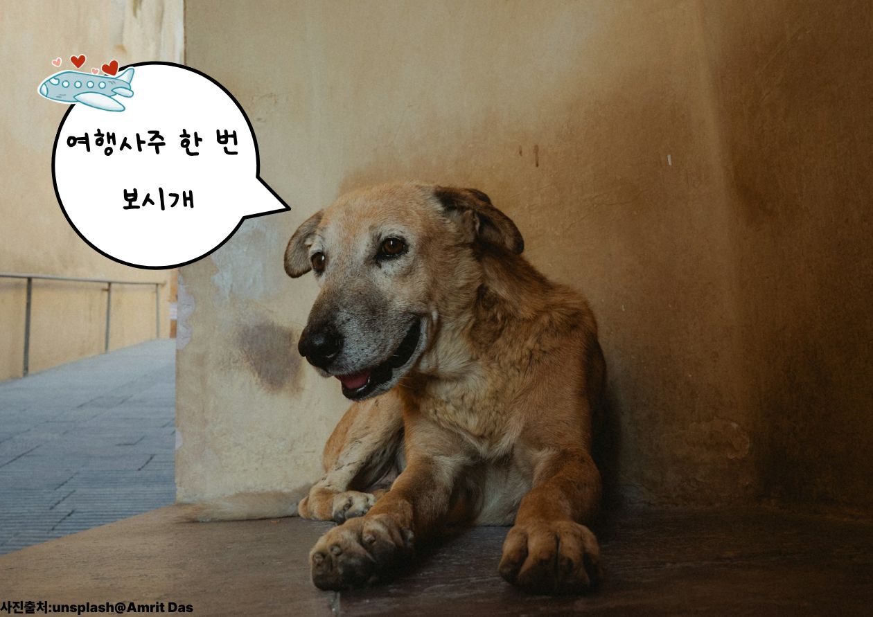 AI 사주 프롬프트로 알아보는 여행 성향 / ⓒ인포매틱스뷰